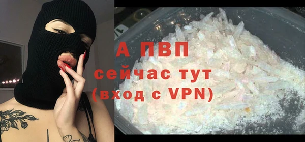 амф Вязьма