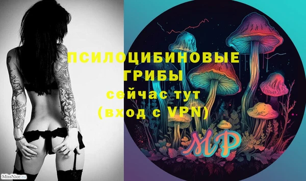 амф Вязьма