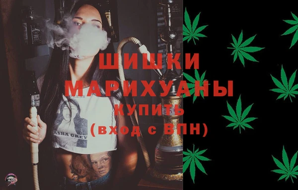 амф Вязьма