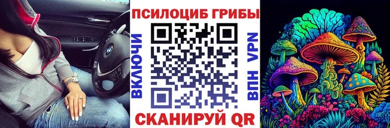 Галлюциногенные грибы Magic Shrooms  Купить где  Красноуфимск 
